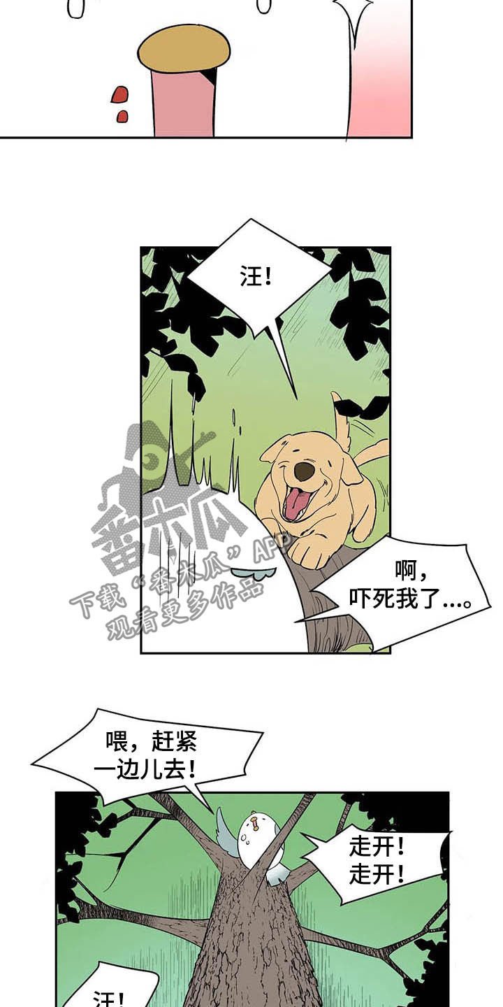 第20章：不许看！