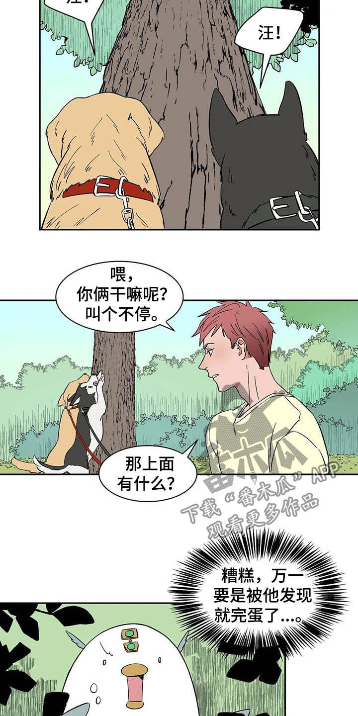 第20章：不许看！