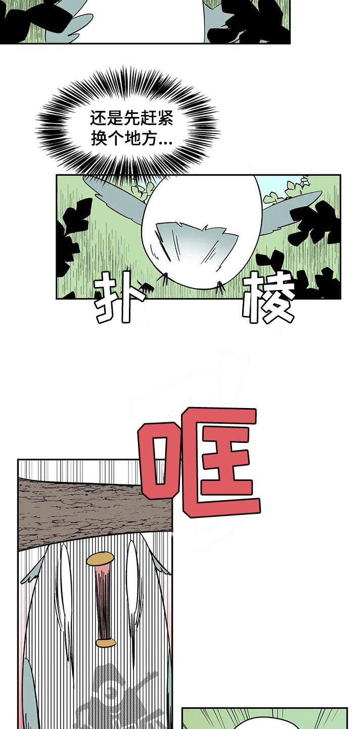 第20章：不许看！