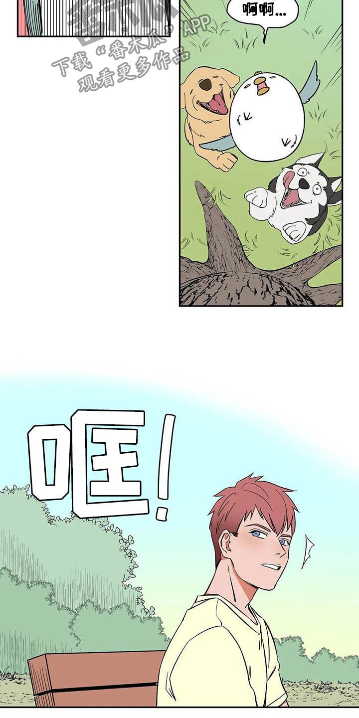 第20章：不许看！