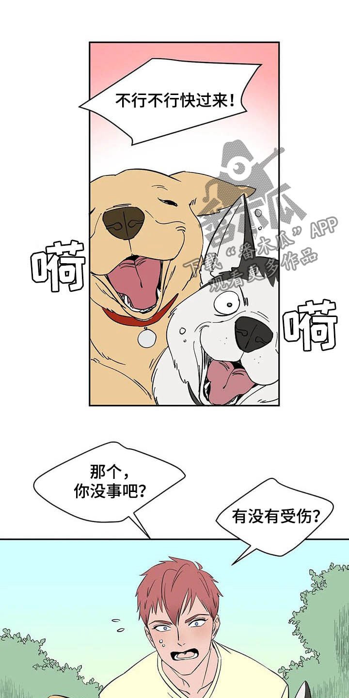 第20章：不许看！