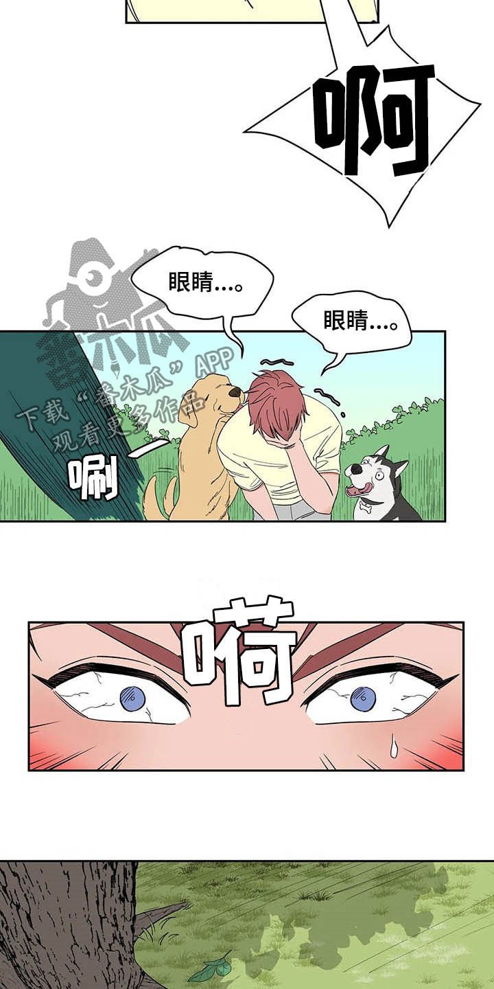 第20章：不许看！