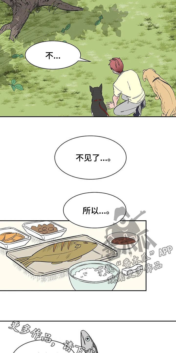 第20章：不许看！