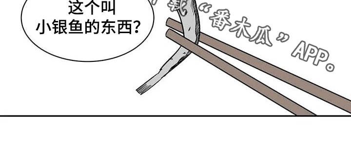 第20章：不许看！