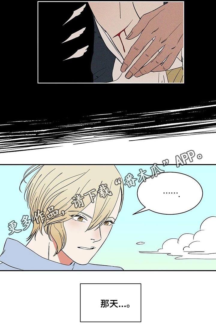 第25章：命令