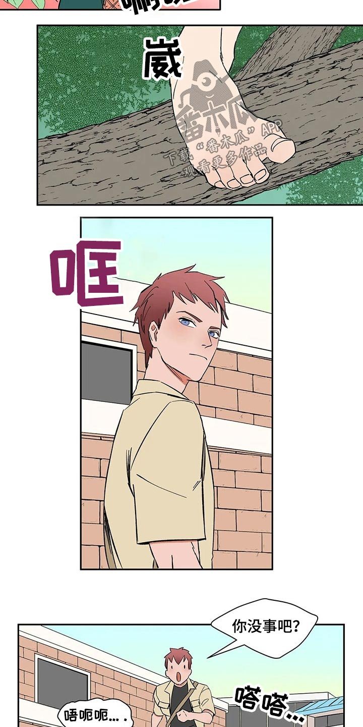 第34章：男孩