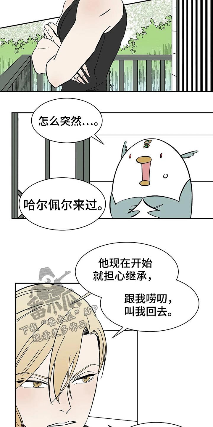 第51章：打算