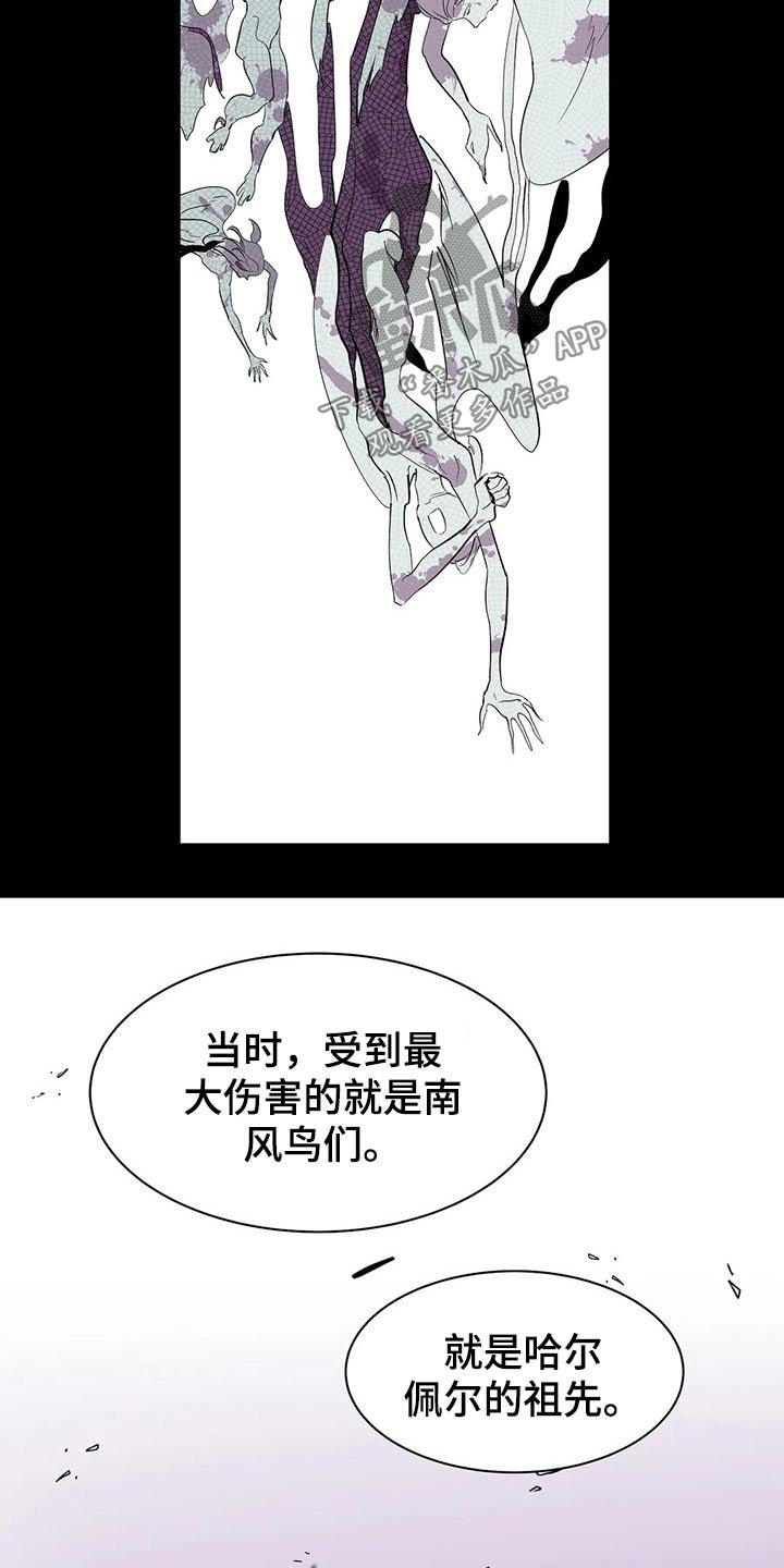 第51章：打算