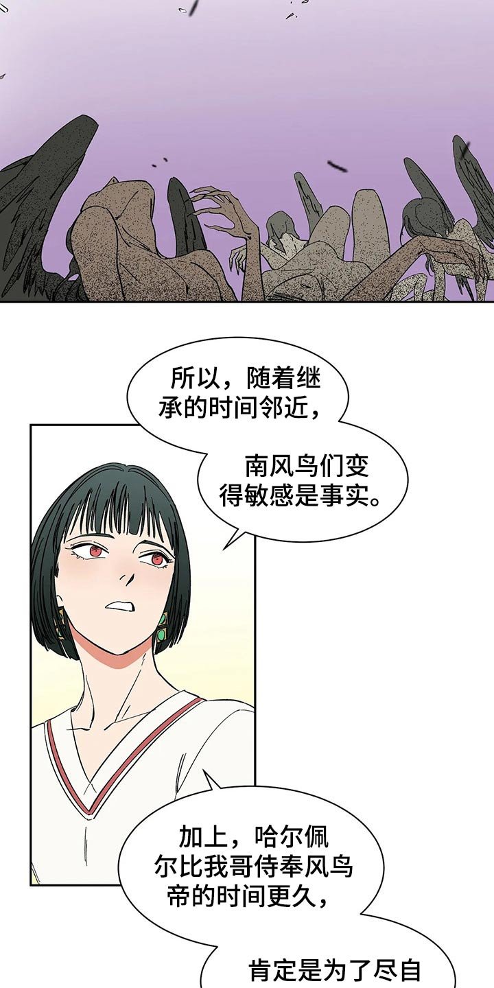 第51章：打算