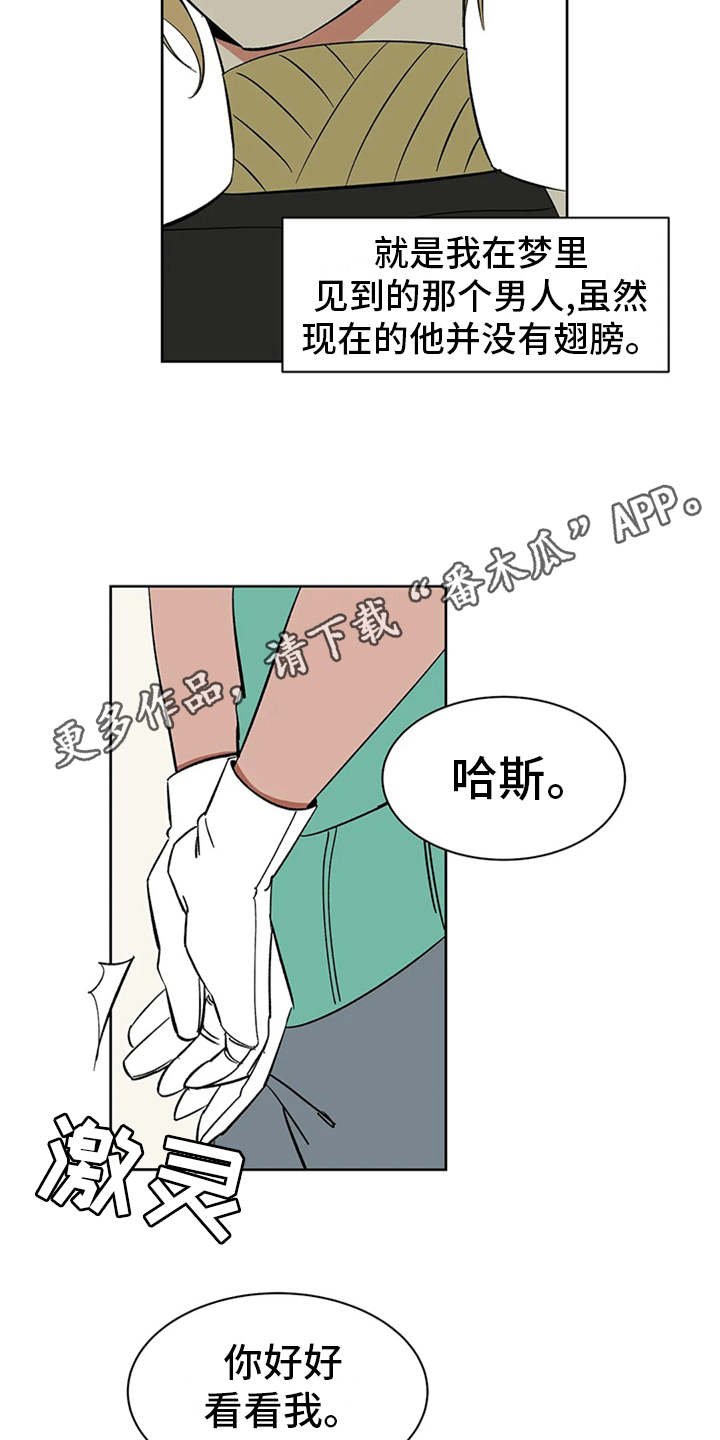 第6章：宝石