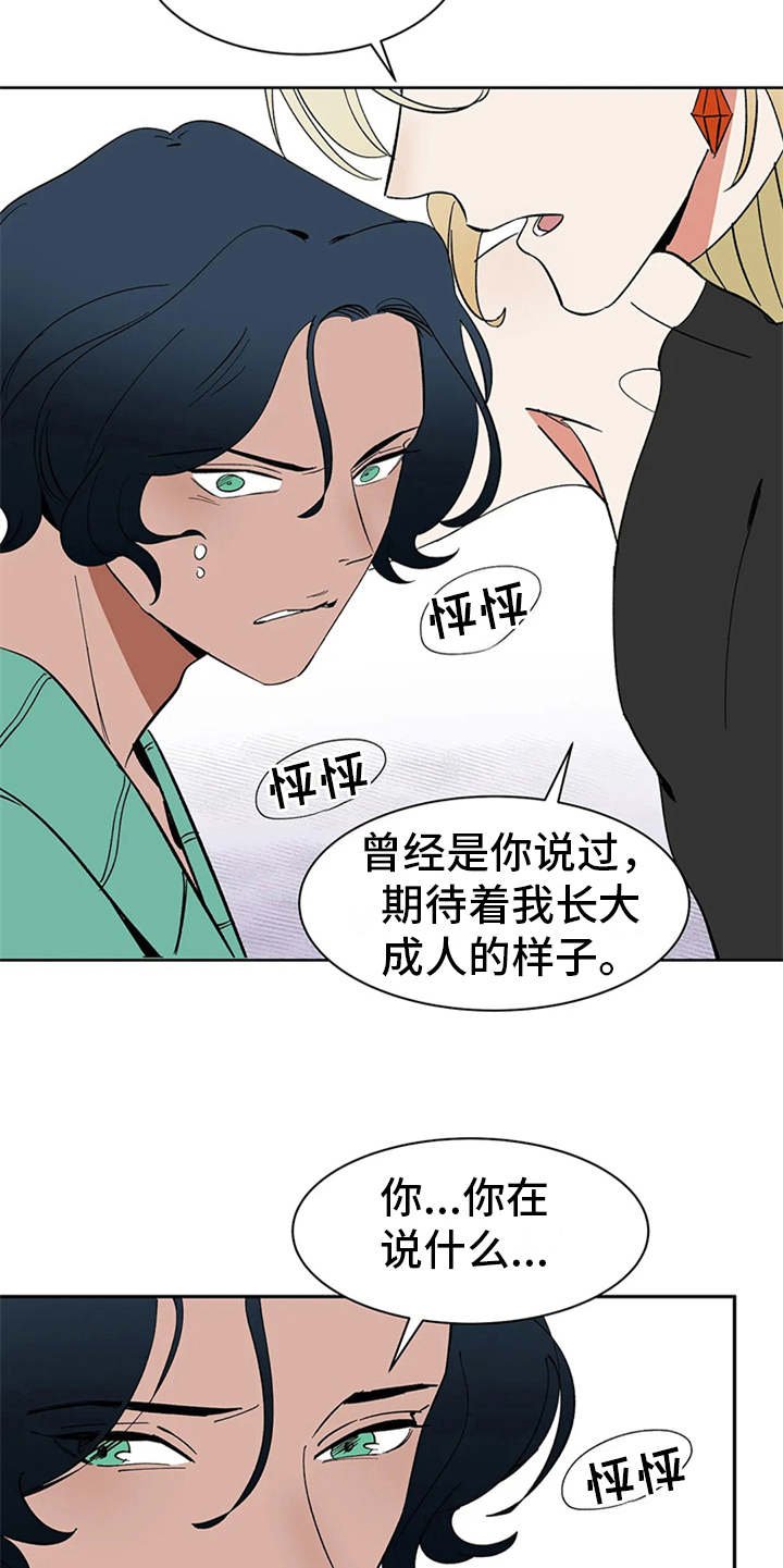 第6章：宝石