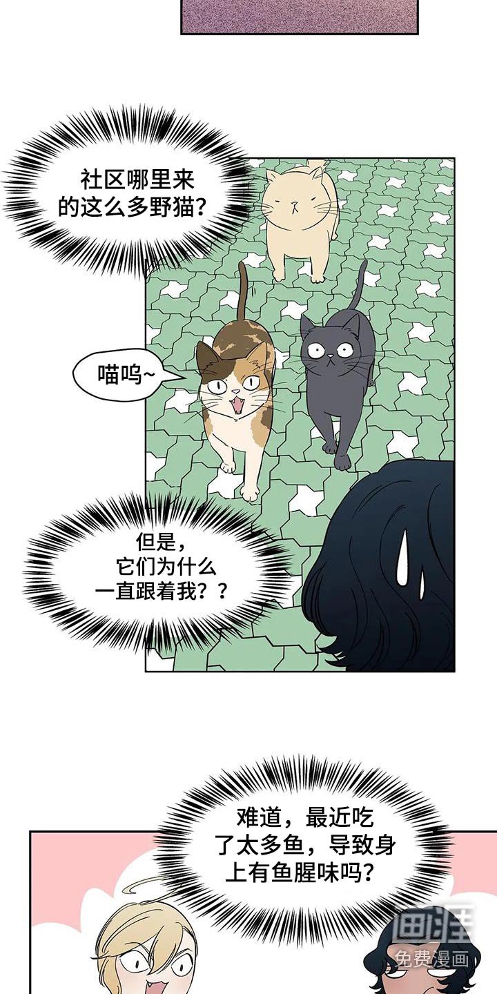 第80章：【第二季】特别