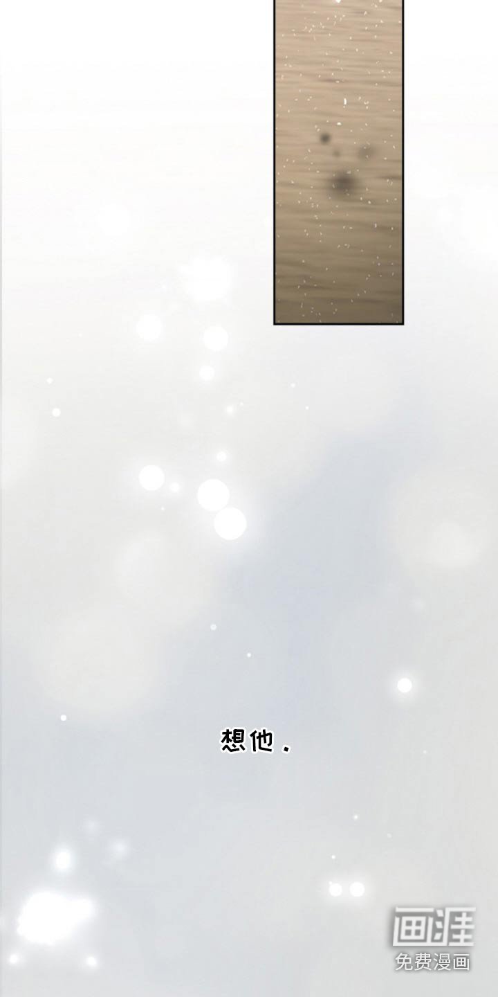 第102章：【第二季】忘不掉