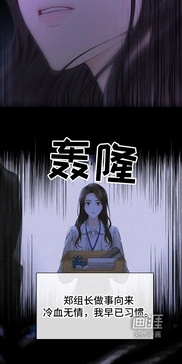 第13章：安慰