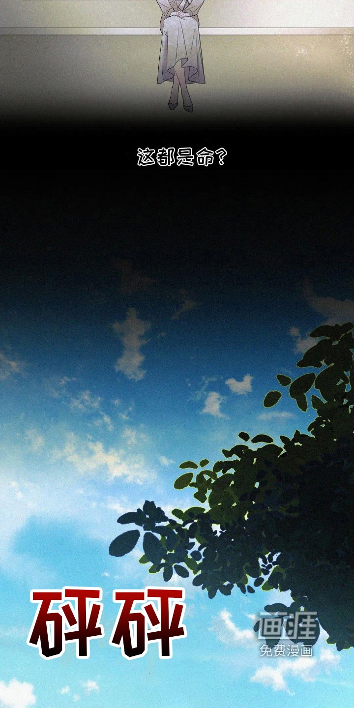 第14章：命运