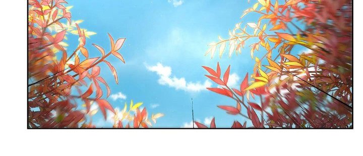 第18章：家庭