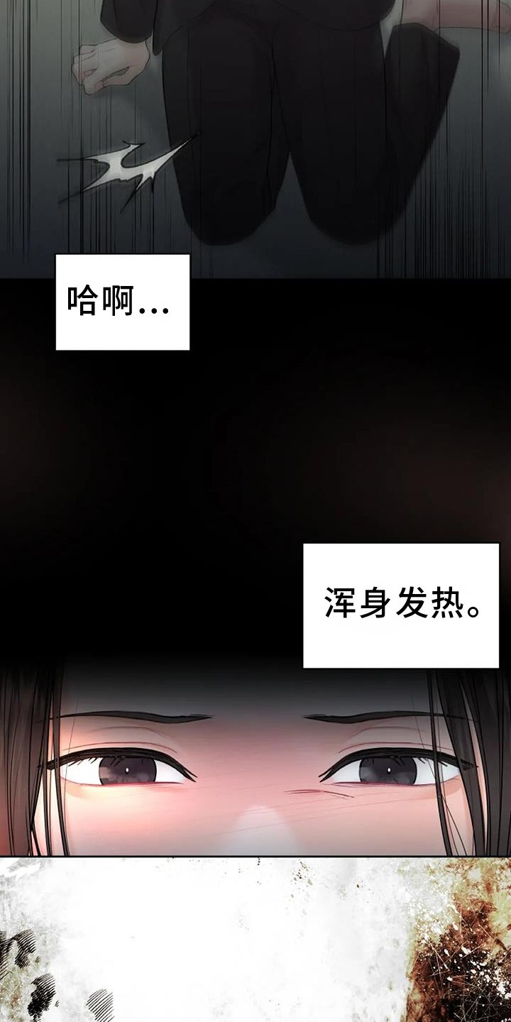 第26章：调查