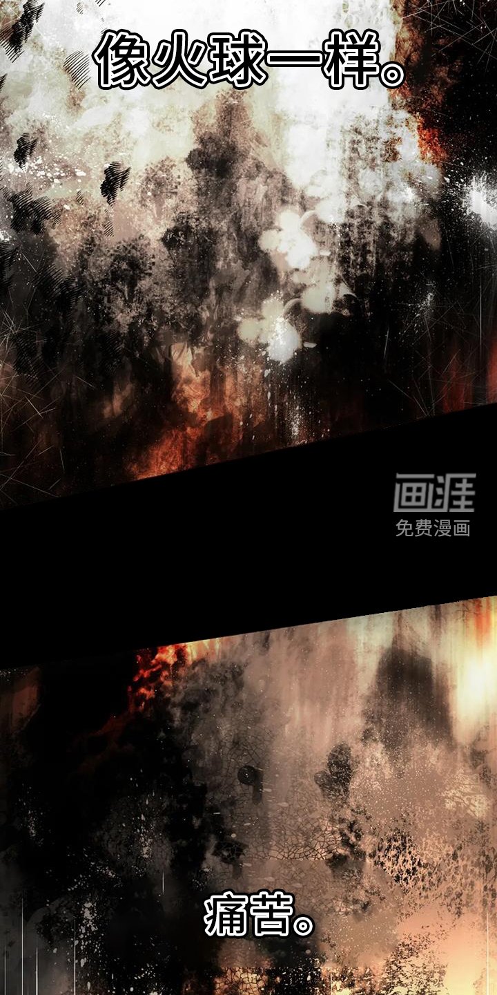第26章：调查
