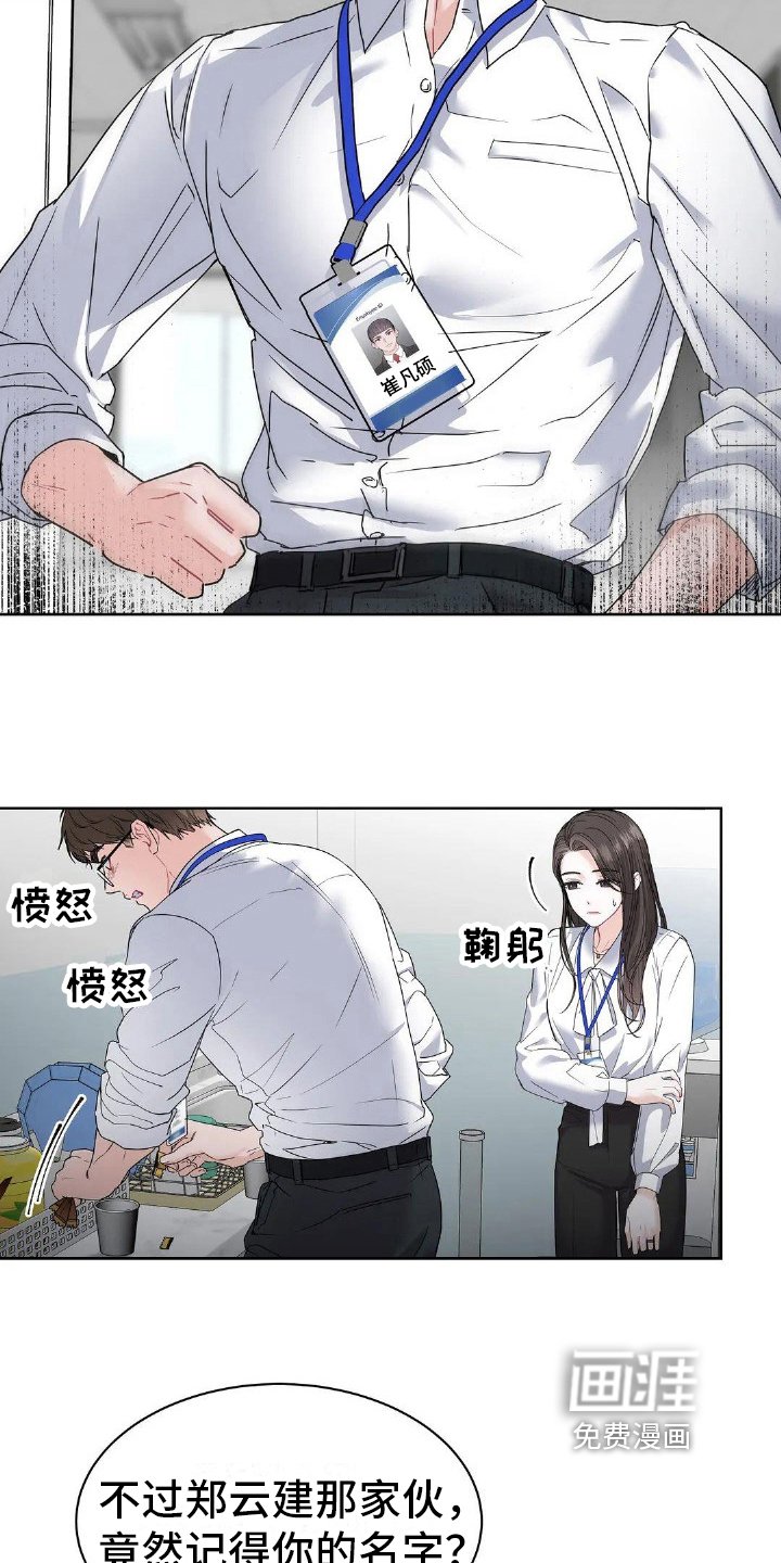第4章：同事关系