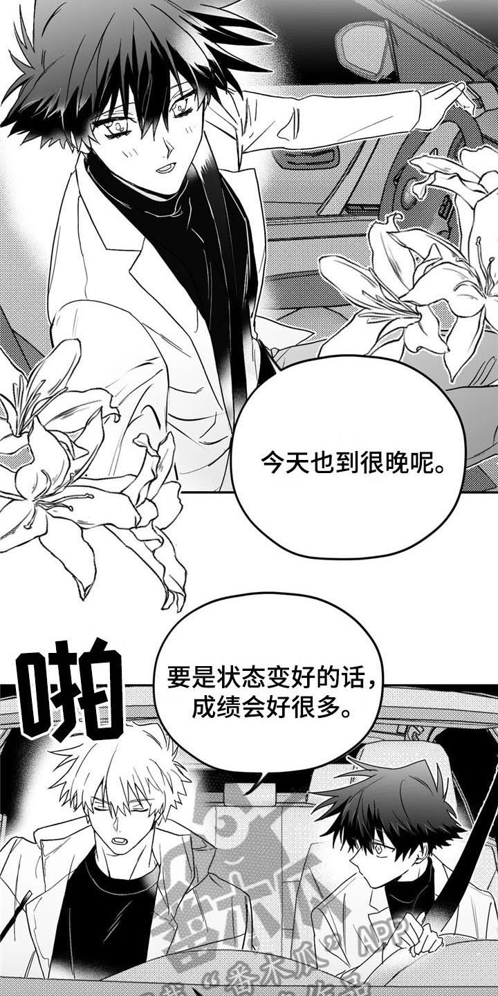 第12章：担忧
