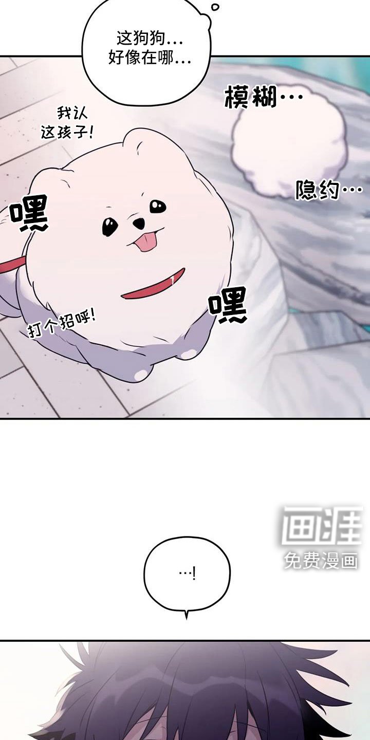 第120章：【番外完结】我爱你们