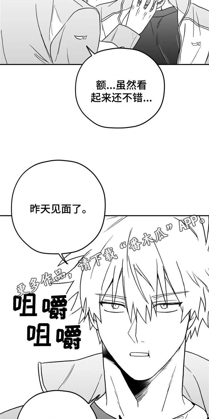 第14章：在意