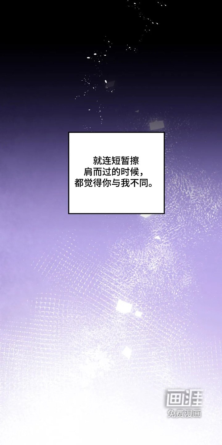 第144章：【第三季】你做了什么