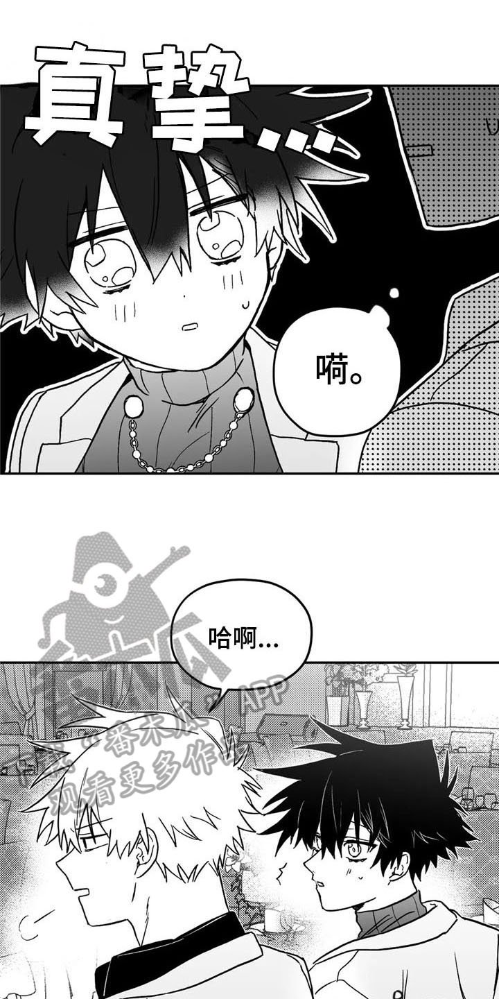 第16章：猜测