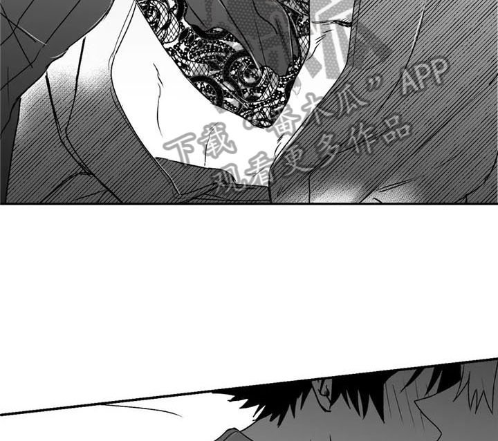 第21章：允许
