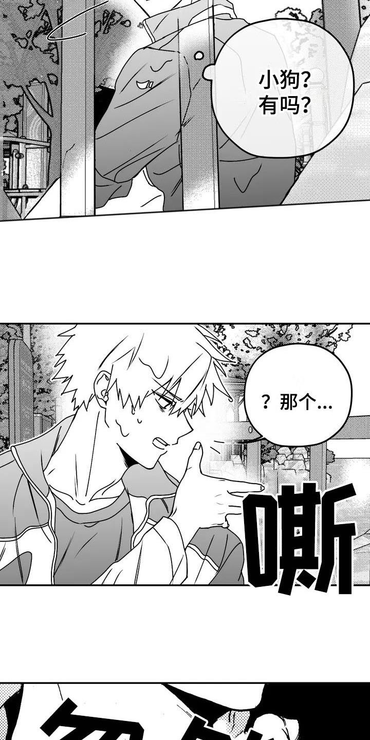 第3章：特殊
