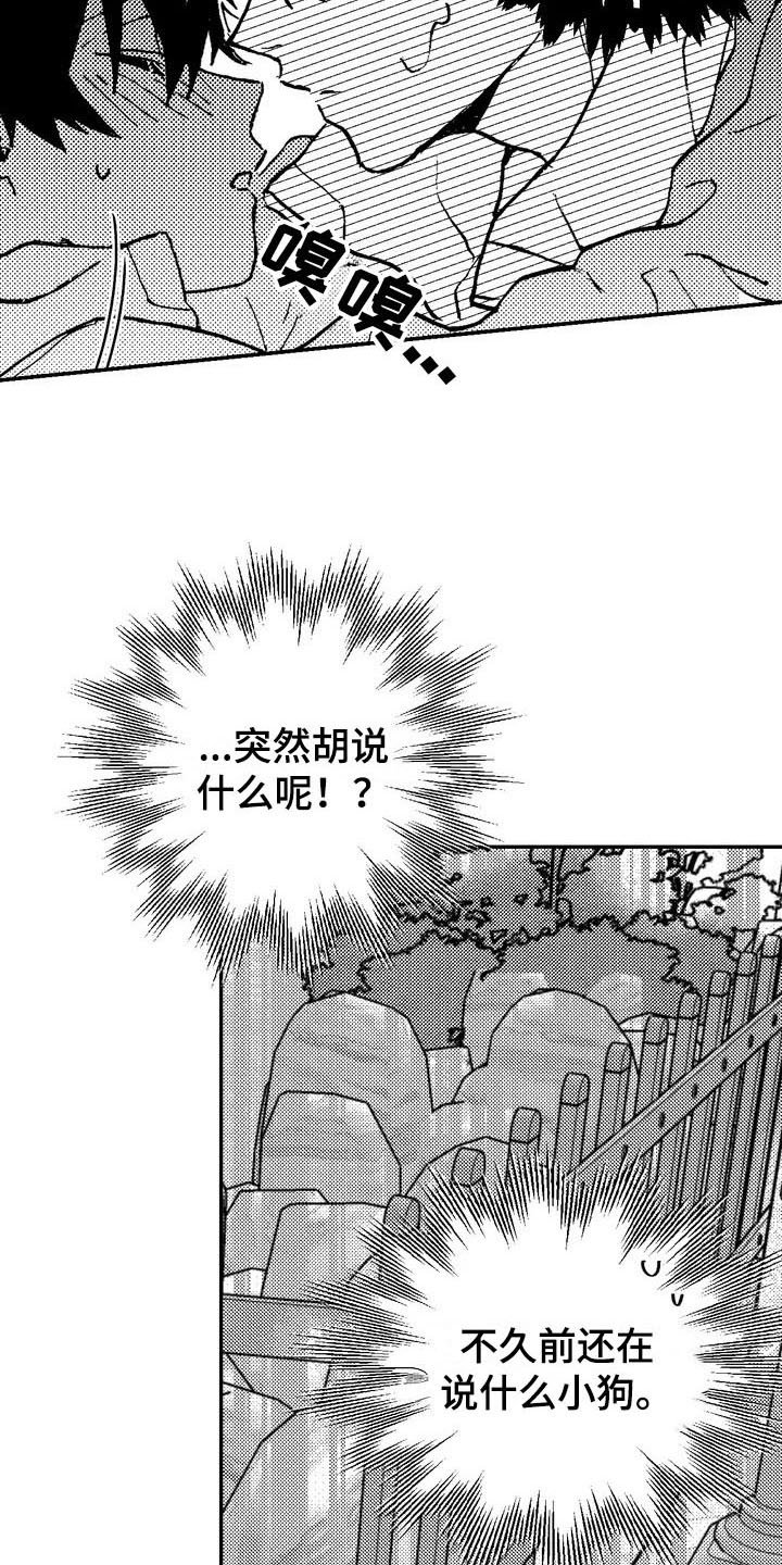 第3章：特殊