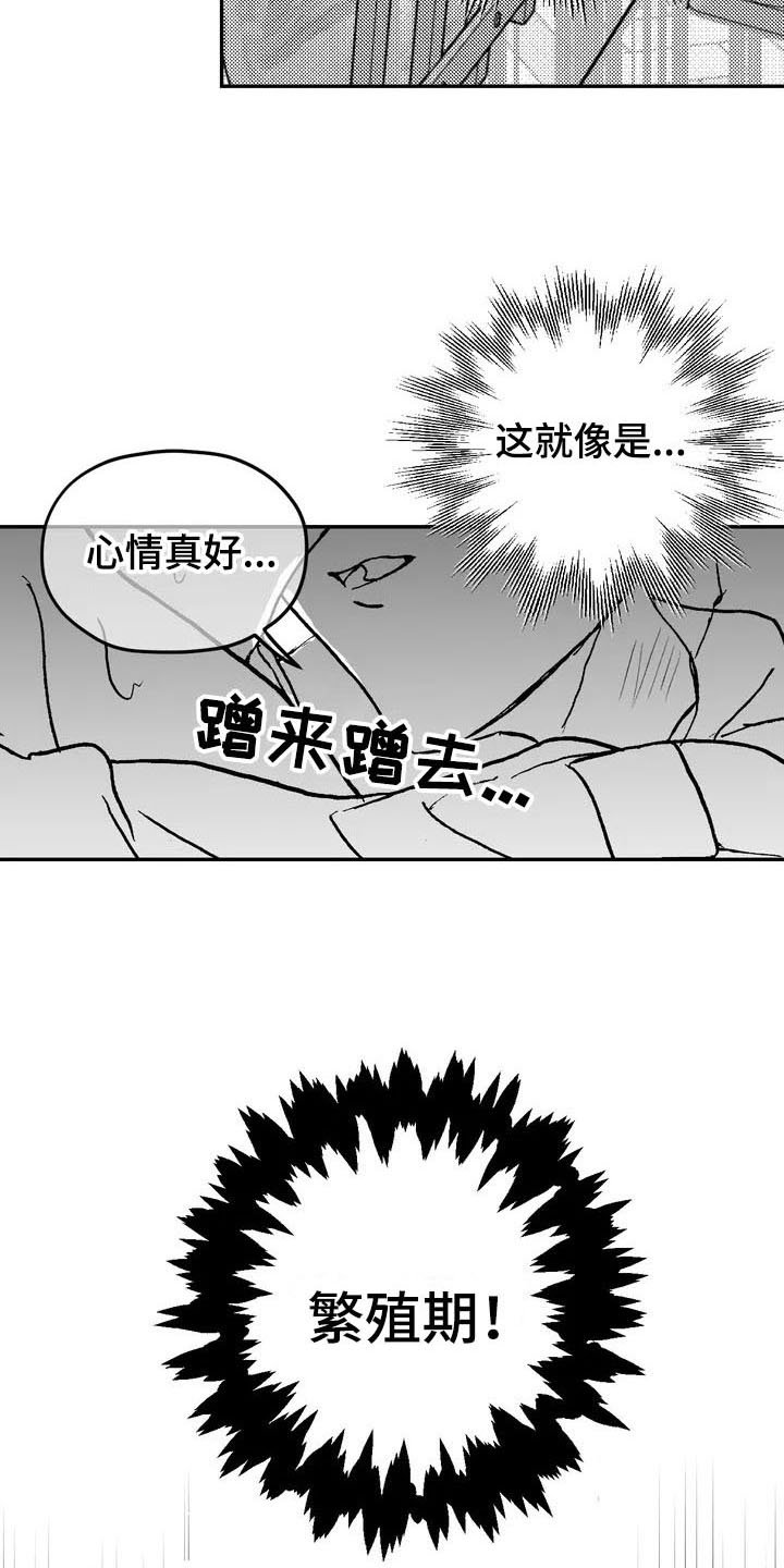 第3章：特殊