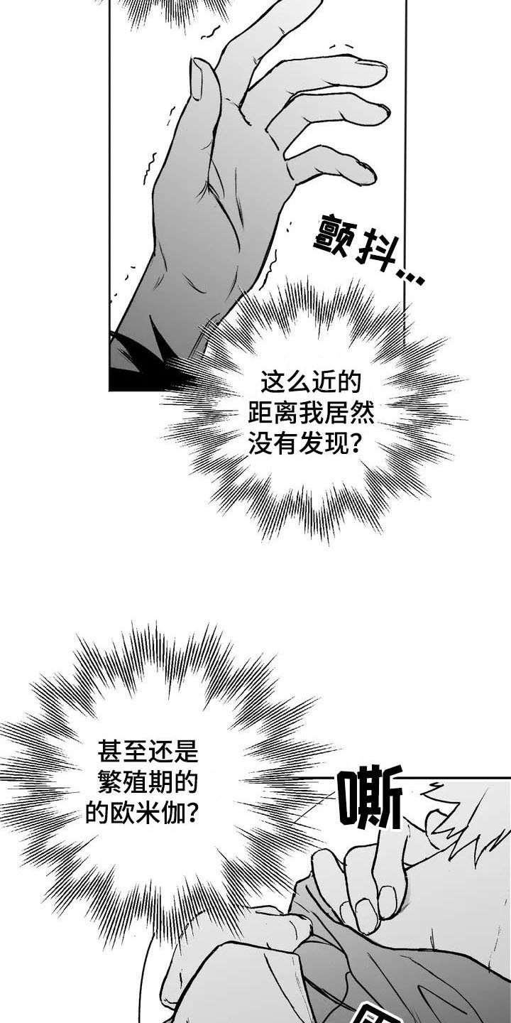 第3章：特殊