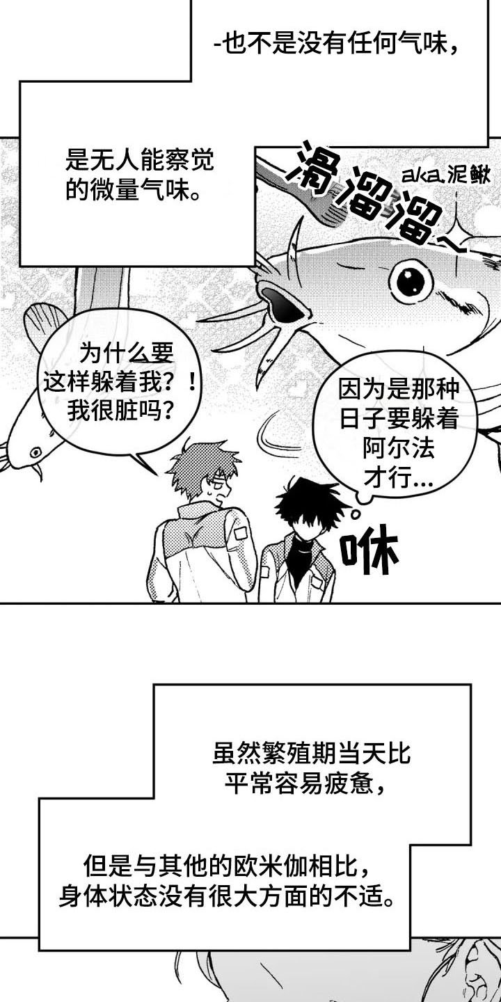 第3章：特殊