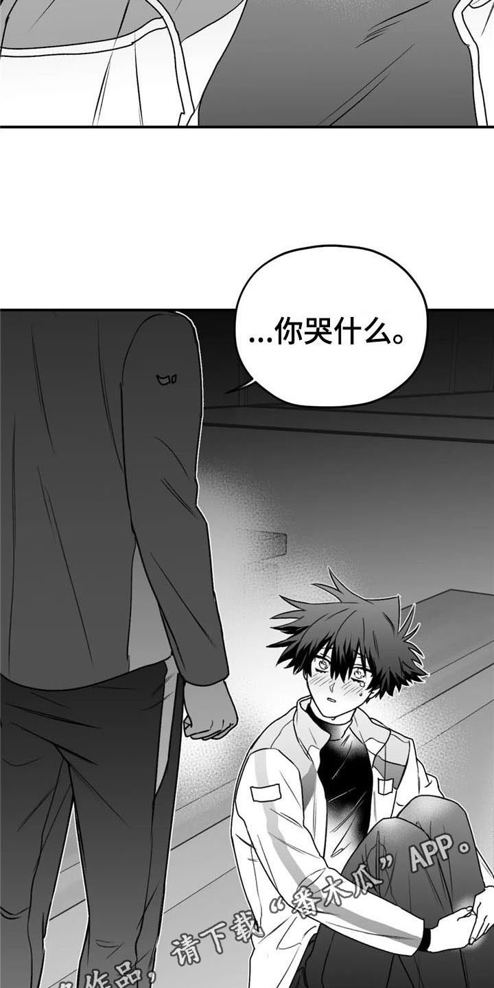 第33章：哭泣
