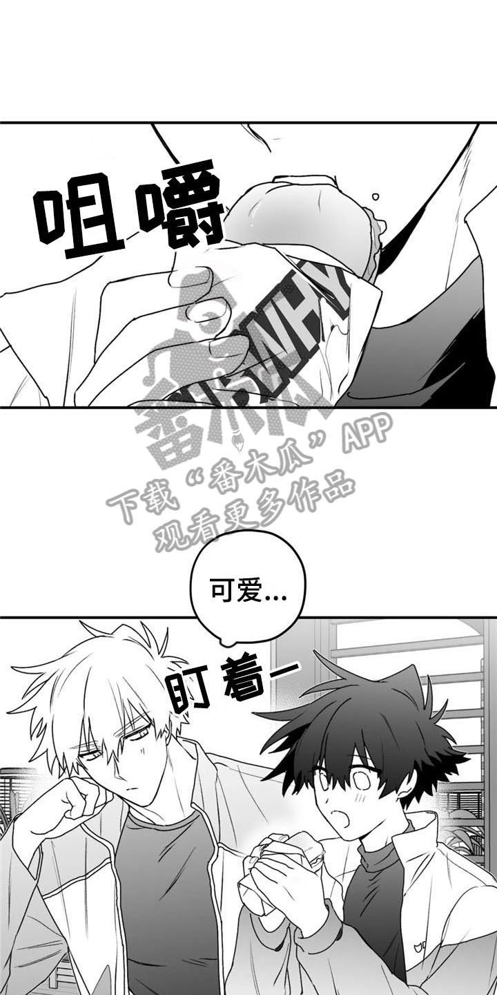 第44章：询问