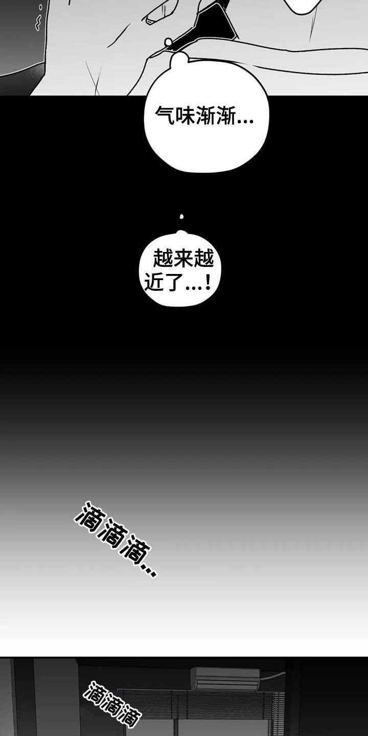 第46章：病重