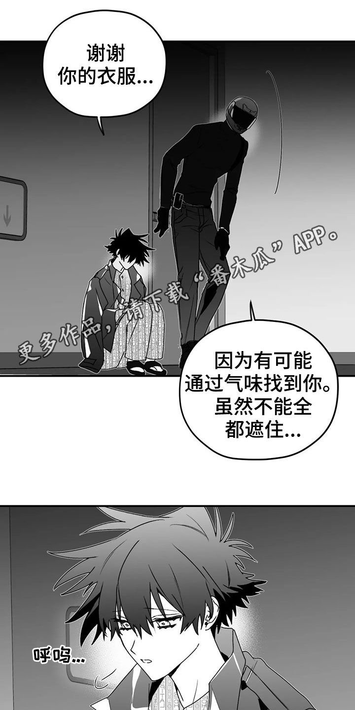 第49章：发现