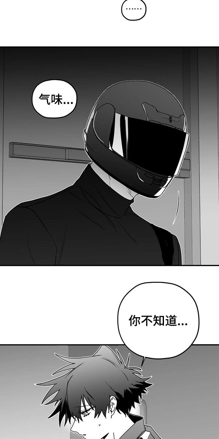 第49章：发现