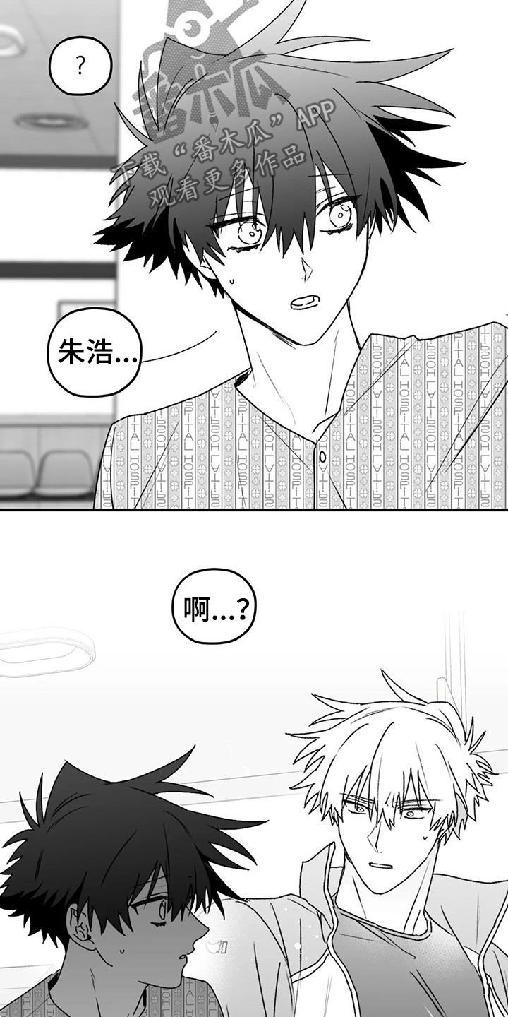 第49章：发现