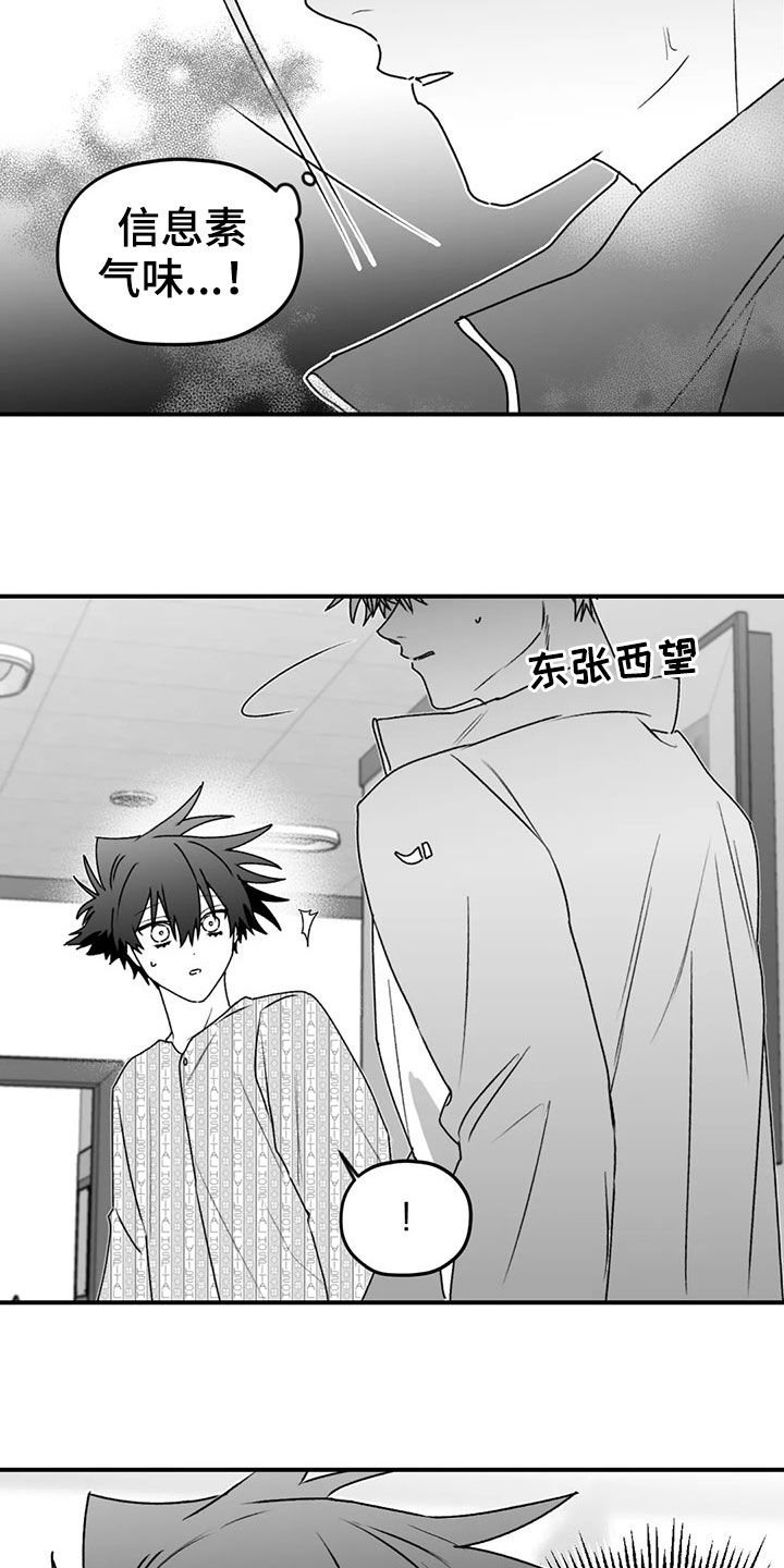 第49章：发现