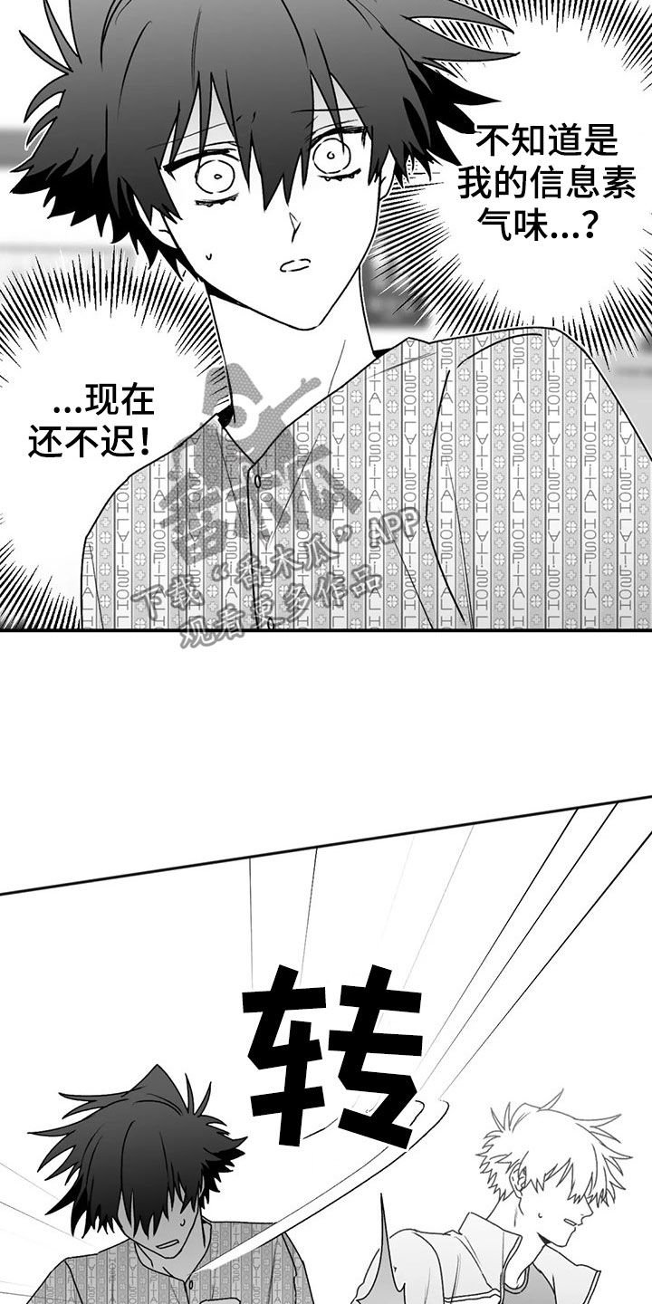第49章：发现