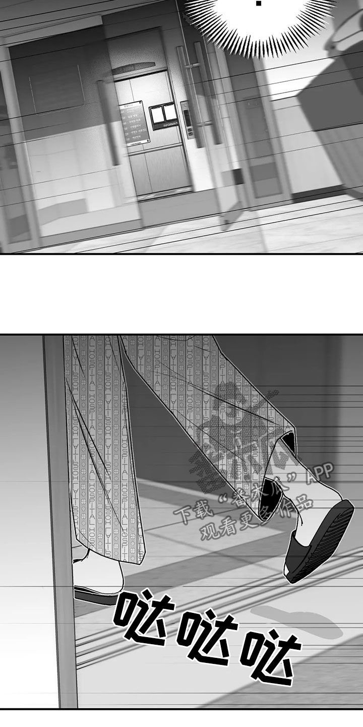 第49章：发现