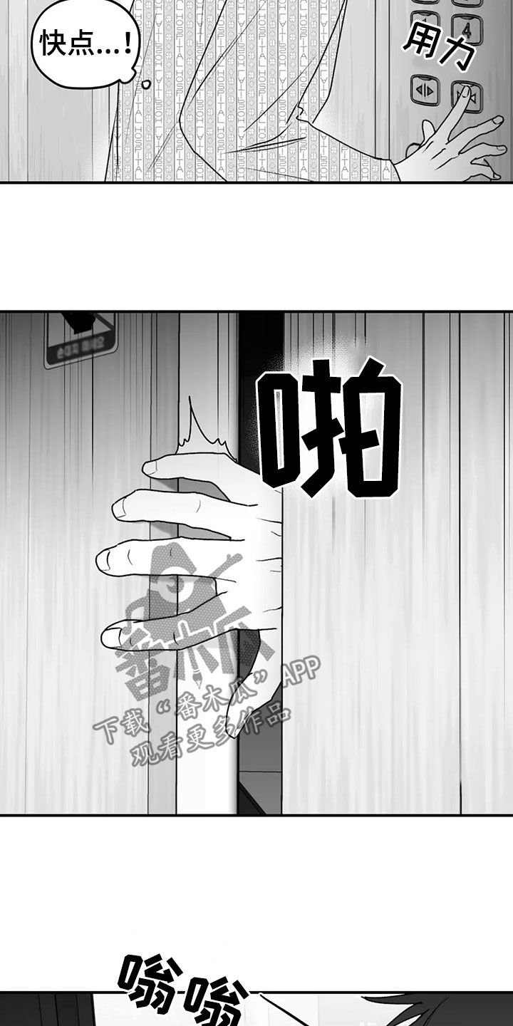 第49章：发现
