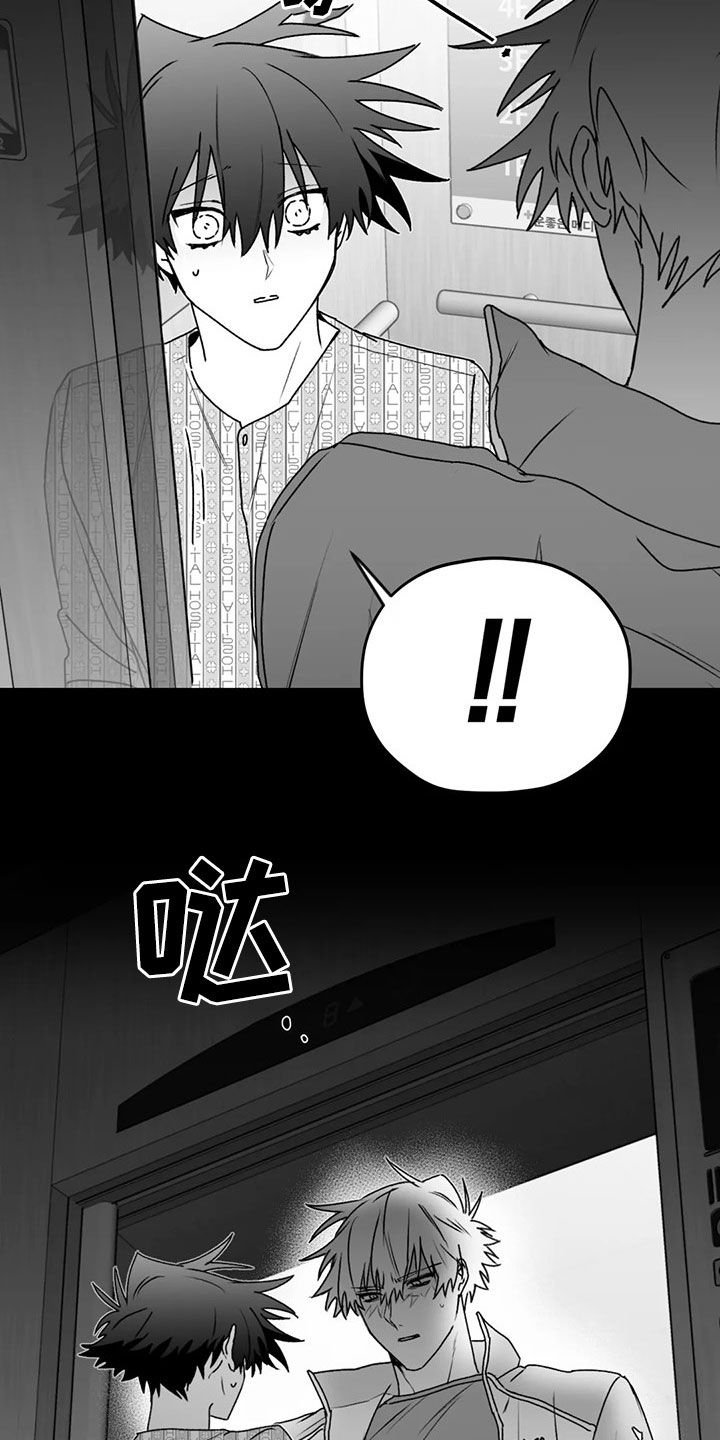 第49章：发现