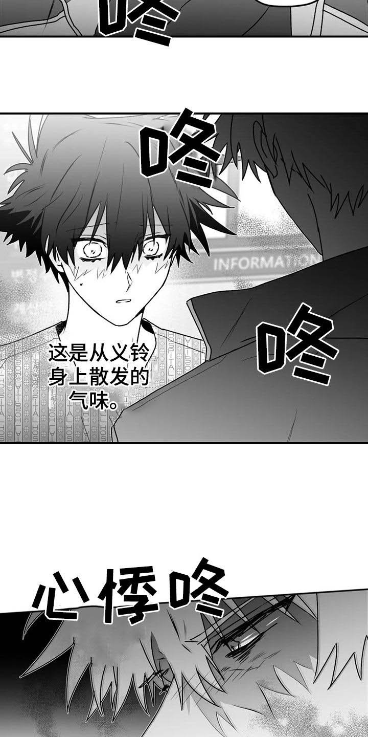 第49章：发现