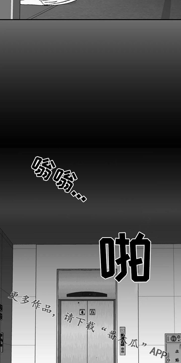 第49章：发现