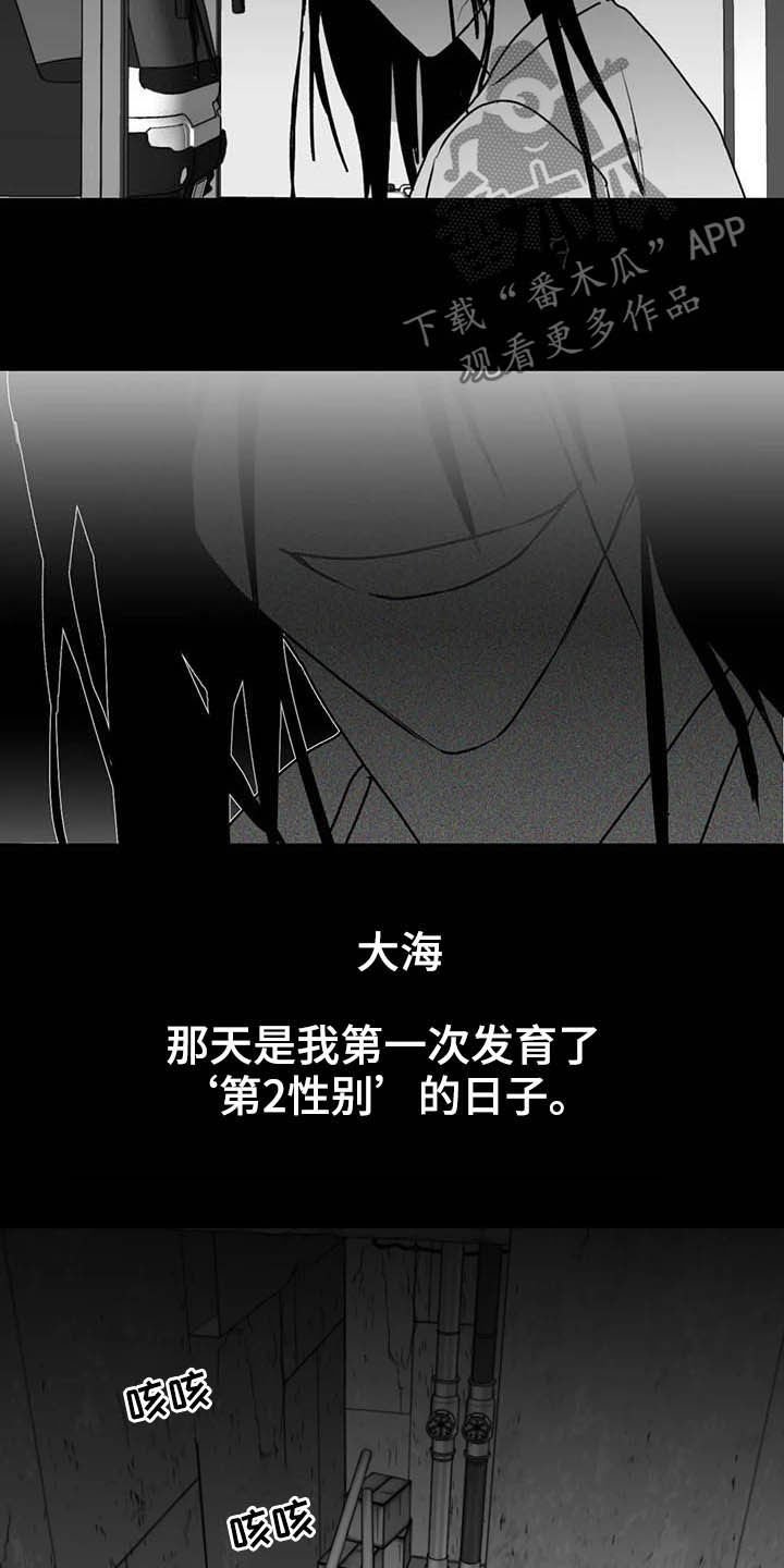 第50章：安全感