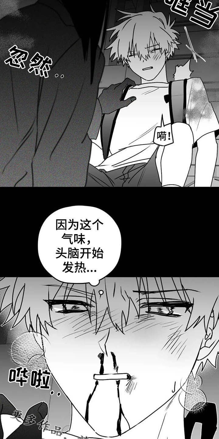 第50章：安全感