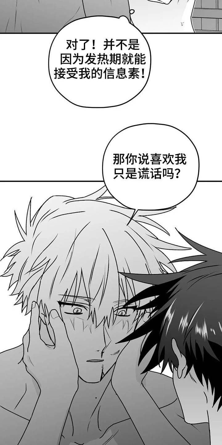 第54章：谎话